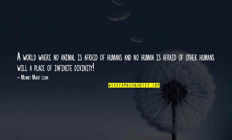 People Are Hurtful Quotes By Mehmet Murat Ildan: A world where no animal is afraid of