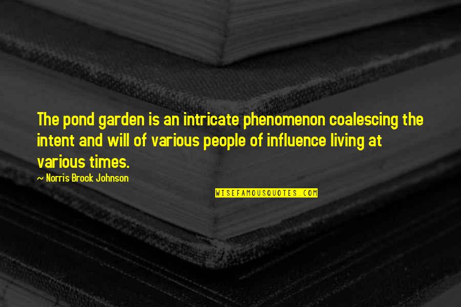 People Are Our Greatest Asset Quotes By Norris Brock Johnson: The pond garden is an intricate phenomenon coalescing People Are Our Greatest Asset Quotes By Norris Brock Johnson: The pond garden is an intricate phenomenon coalescing