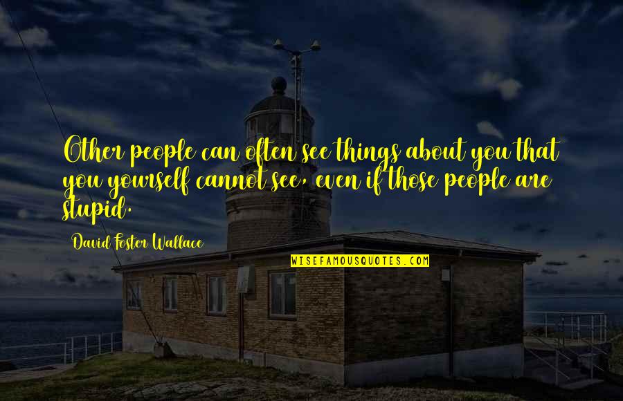 People Are Stupid Quotes By David Foster Wallace: Other people can often see things about you People Are Stupid Quotes By David Foster Wallace: Other people can often see things about you