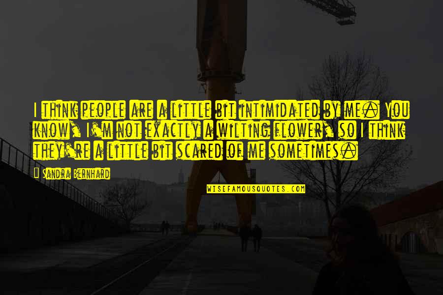 People Think They Know Me Quotes By Sandra Bernhard: I think people are a little bit intimidated
