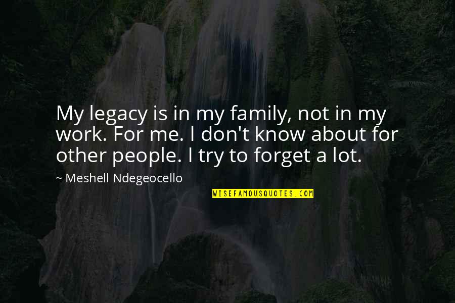 People Trying Me Quotes By Meshell Ndegeocello: My legacy is in my family, not in People Trying Me Quotes By Meshell Ndegeocello: My legacy is in my family, not in