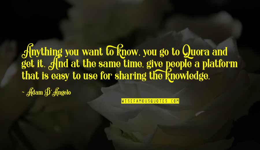 People Use You Quotes By Adam D'Angelo: Anything you want to know, you go to People Use You Quotes By Adam D'Angelo: Anything you want to know, you go to