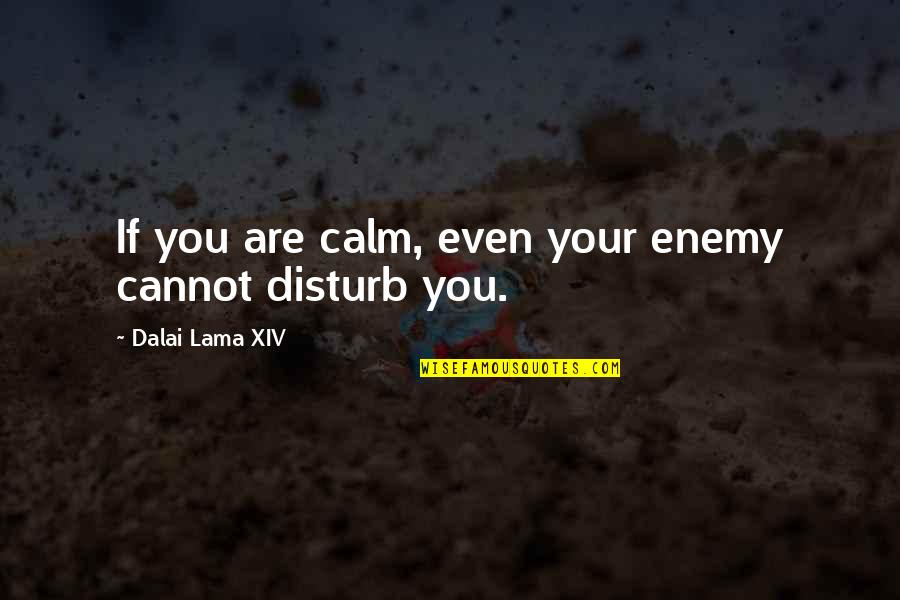 People Who Leave You When Needed Quotes By Dalai Lama XIV: If you are calm, even your enemy cannot