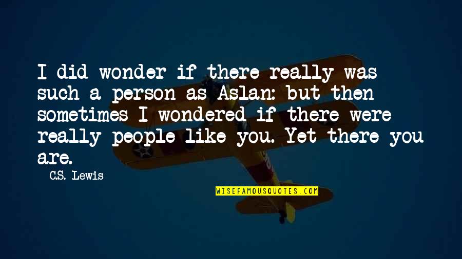 People You Like Quotes By C.S. Lewis: I did wonder if there really was such
