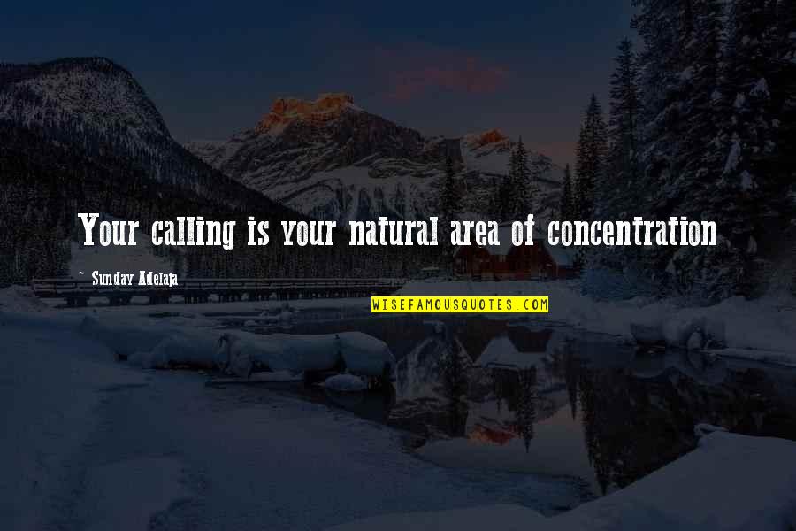 People's Purpose In Your Life Quotes By Sunday Adelaja: Your calling is your natural area of concentration