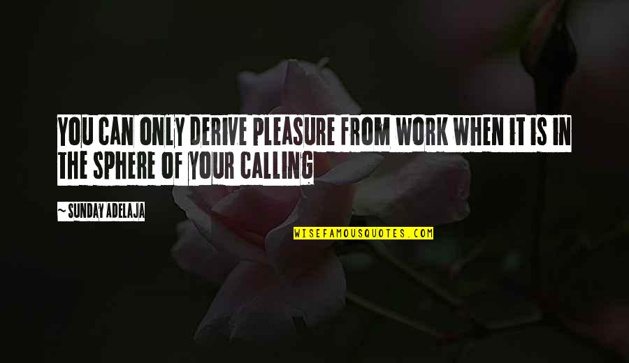 People's Purpose In Your Life Quotes By Sunday Adelaja: You can only derive pleasure from work when