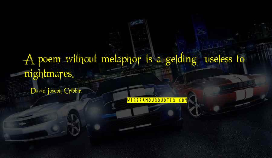 Pepi Quotes By David Joseph Cribbin: A poem without metaphor is a gelding; useless Pepi Quotes By David Joseph Cribbin: A poem without metaphor is a gelding; useless