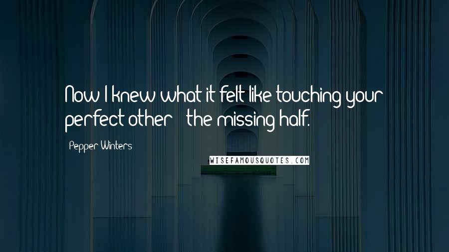 Pepper Winters quotes: Now I knew what it felt like touching your perfect other - the missing half.