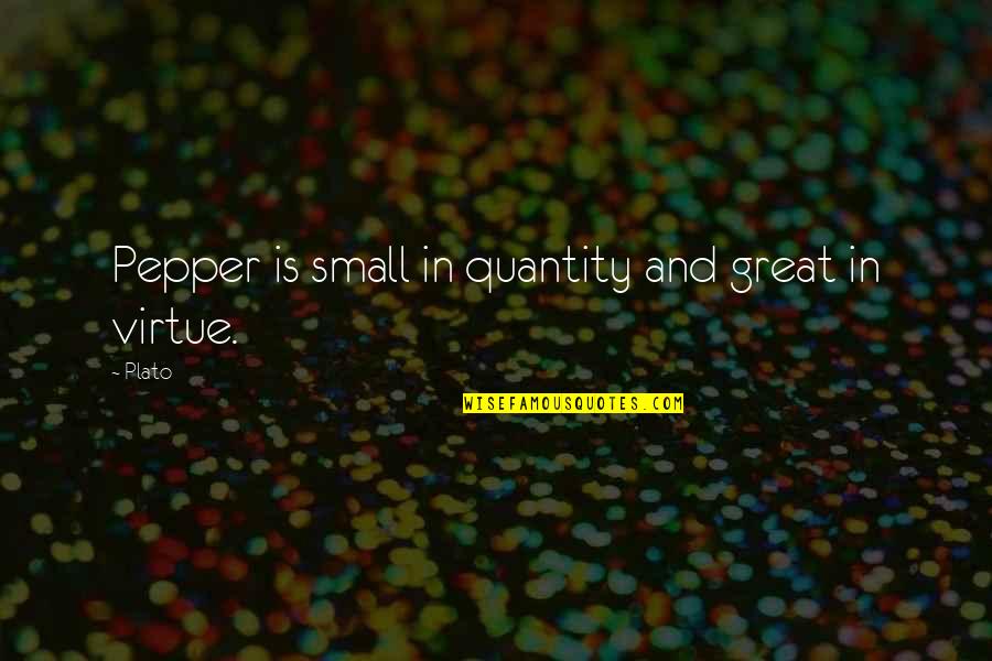 Peppers Quotes By Plato: Pepper is small in quantity and great in