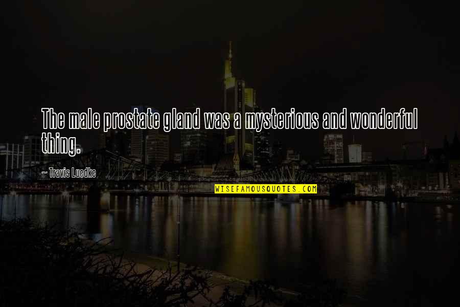Pepukaye Quotes By Travis Luedke: The male prostate gland was a mysterious and