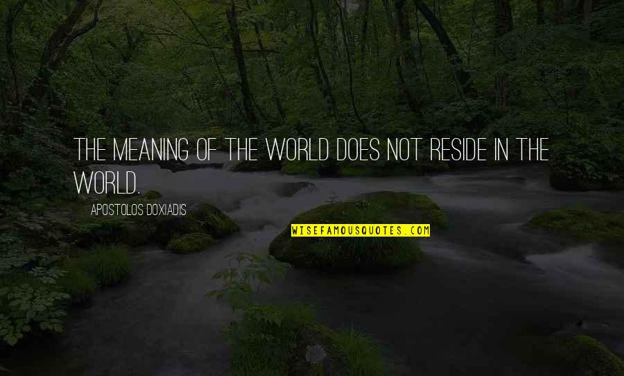Pequignot Quotes By Apostolos Doxiadis: The meaning of the world does not reside