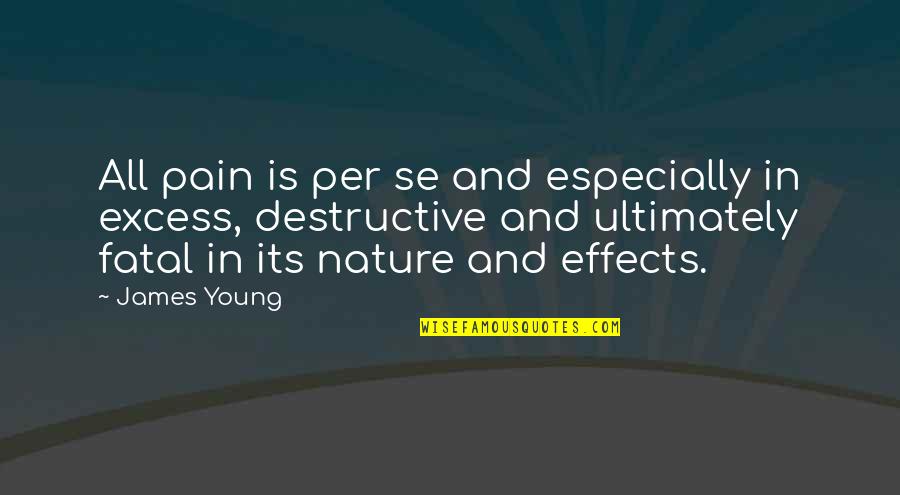 Per Se Quotes By James Young: All pain is per se and especially in