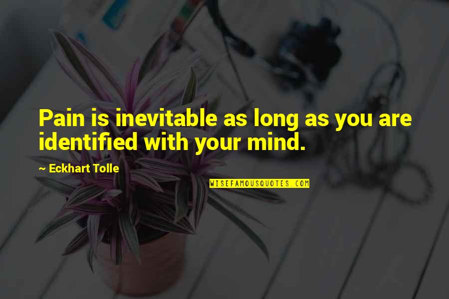 Peranan Kreativitas Quotes By Eckhart Tolle: Pain is inevitable as long as you are