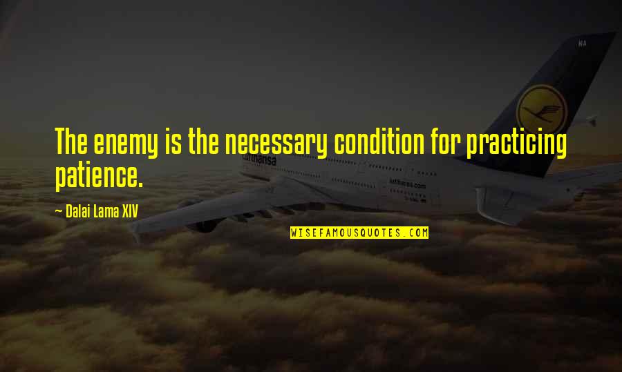 Perasaan Ini Quotes By Dalai Lama XIV: The enemy is the necessary condition for practicing