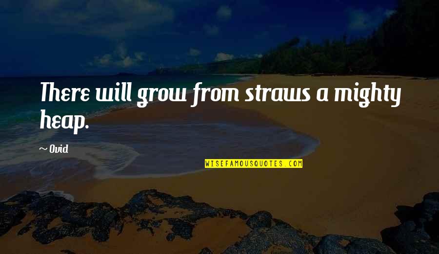 Perbadanan Bekalan Air Quotes By Ovid: There will grow from straws a mighty heap.