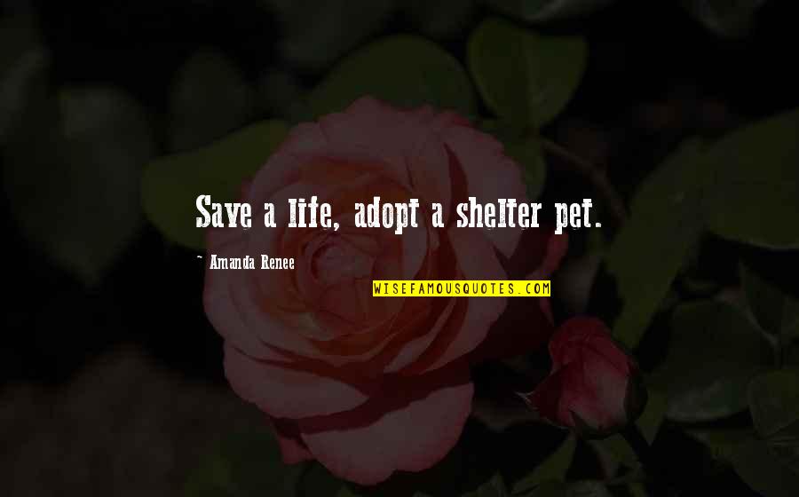 Percasso Quotes By Amanda Renee: Save a life, adopt a shelter pet.