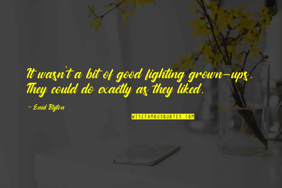 Perceiv'd Quotes By Enid Blyton: It wasn't a bit of good fighting grown-ups.