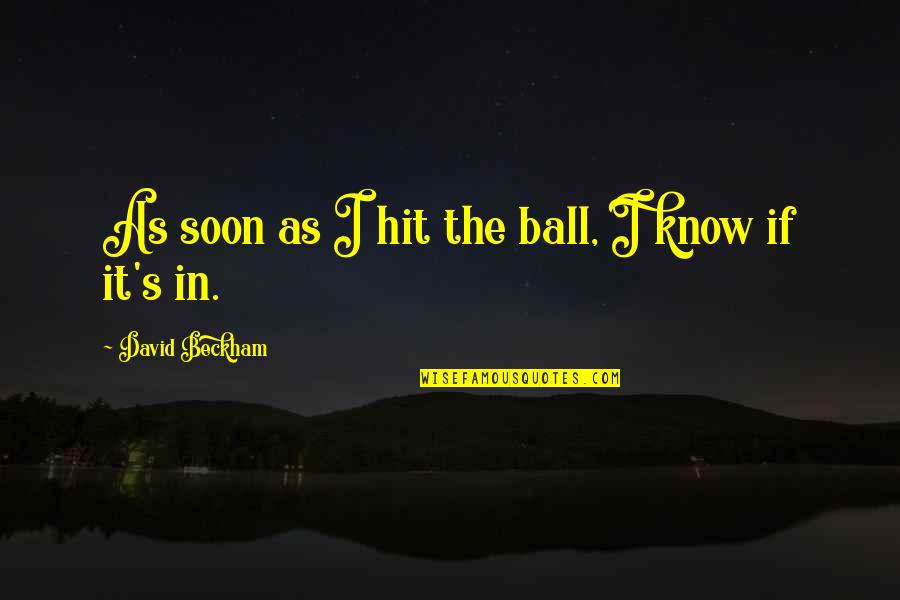 Perceive Happiness Quotes By David Beckham: As soon as I hit the ball, I