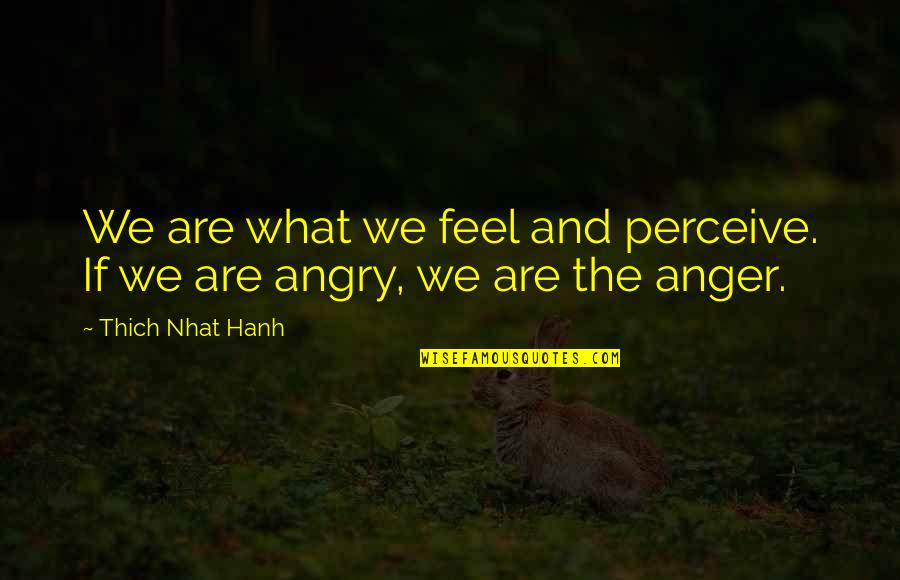 Perceive Quotes By Thich Nhat Hanh: We are what we feel and perceive. If Perceive Quotes By Thich Nhat Hanh: We are what we feel and perceive. If