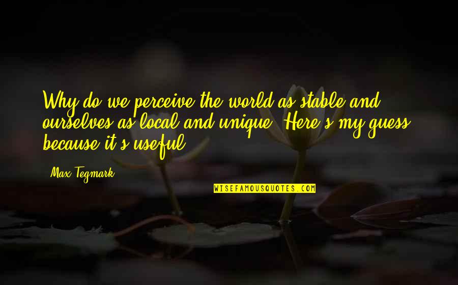 Perceive The World Quotes By Max Tegmark: Why do we perceive the world as stable Perceive The World Quotes By Max Tegmark: Why do we perceive the world as stable