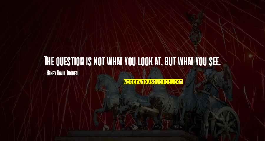 Perception And Perspective Quotes By Henry David Thoreau: The question is not what you look at,