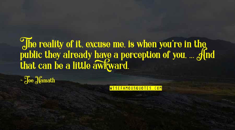 Perception And Reality Quotes By Joe Namath: The reality of it, excuse me, is when