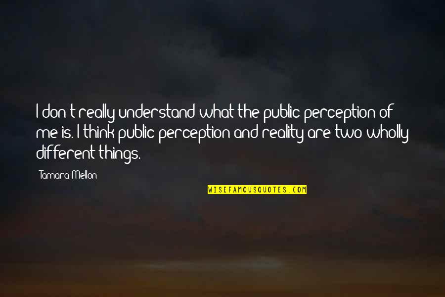 Perception And Reality Quotes By Tamara Mellon: I don't really understand what the public perception