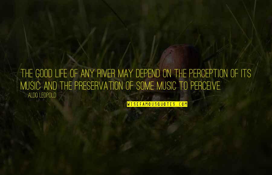 Perception Life Quotes By Aldo Leopold: The good life of any river may depend Perception Life Quotes By Aldo Leopold: The good life of any river may depend