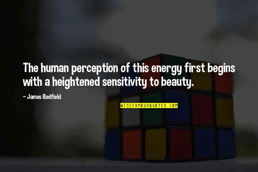 Perception Of Beauty Quotes By James Redfield: The human perception of this energy first begins
