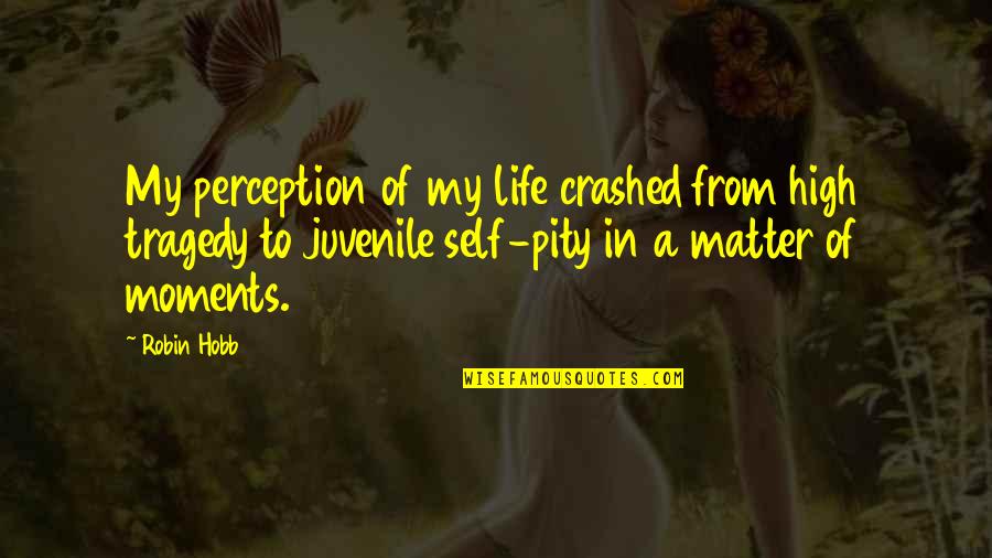 Perception Of Life Quotes By Robin Hobb: My perception of my life crashed from high
