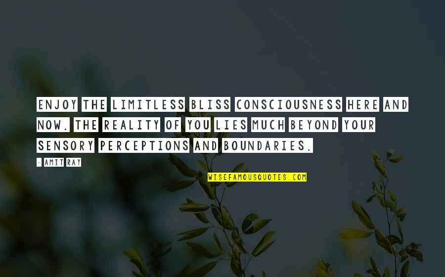 Perceptions And Reality Quotes By Amit Ray: Enjoy the limitless bliss consciousness here and now.