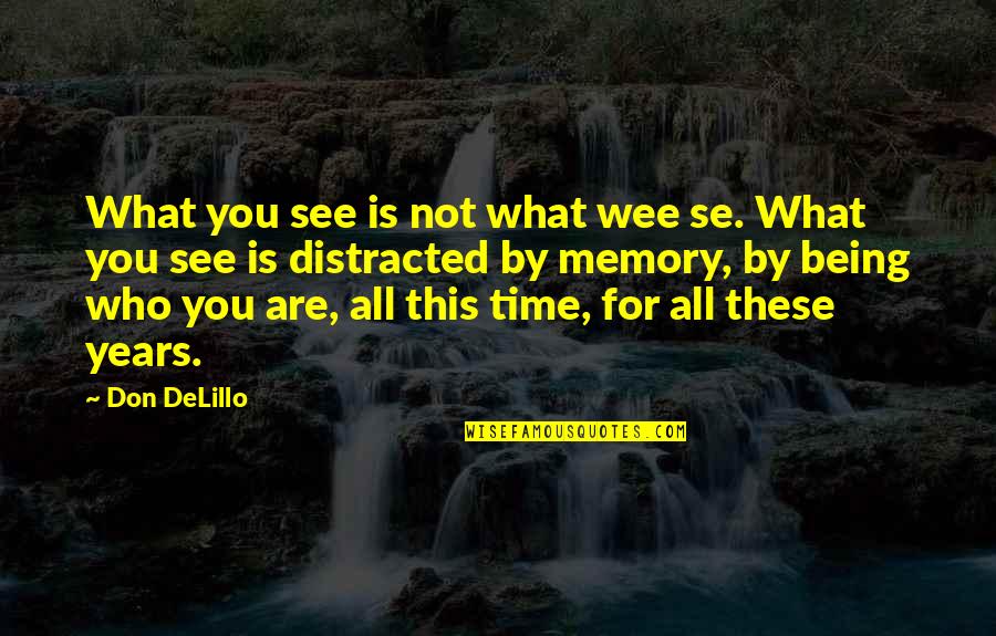 Perceptions And Reality Quotes By Don DeLillo: What you see is not what wee se.