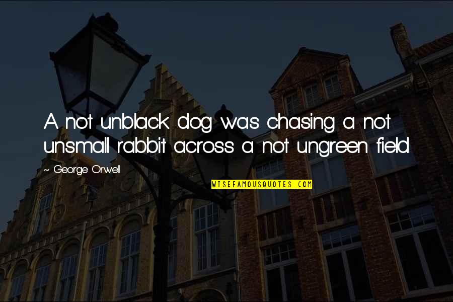 Perceptions Vs Reality Quotes By George Orwell: A not unblack dog was chasing a not