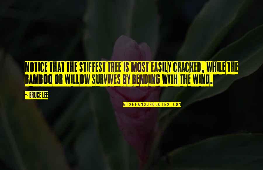 Perceptivity Studio Quotes By Bruce Lee: Notice that the stiffest tree is most easily