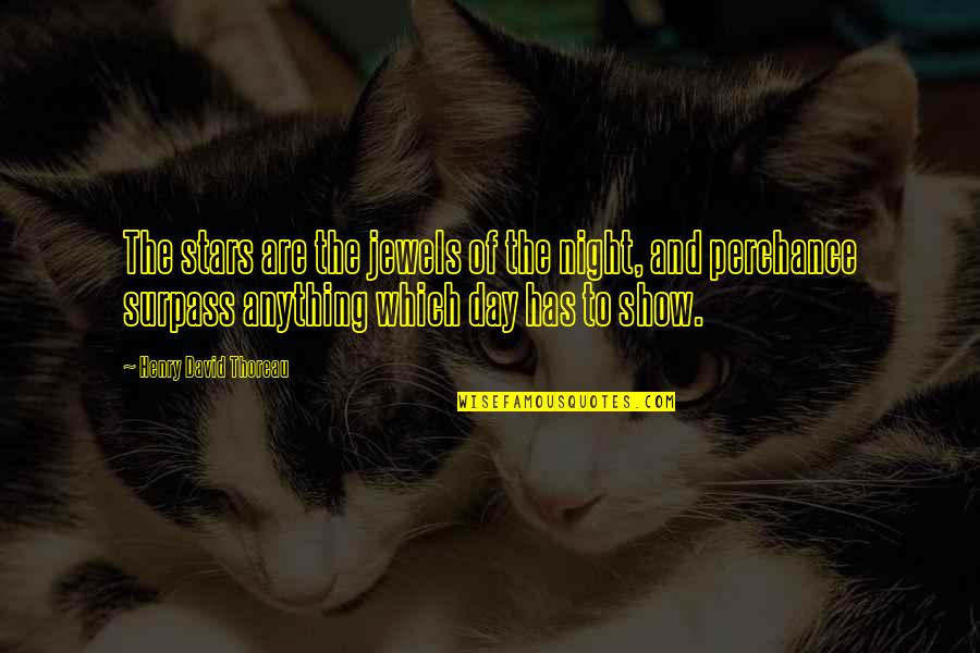 Perchance Quotes By Henry David Thoreau: The stars are the jewels of the night,