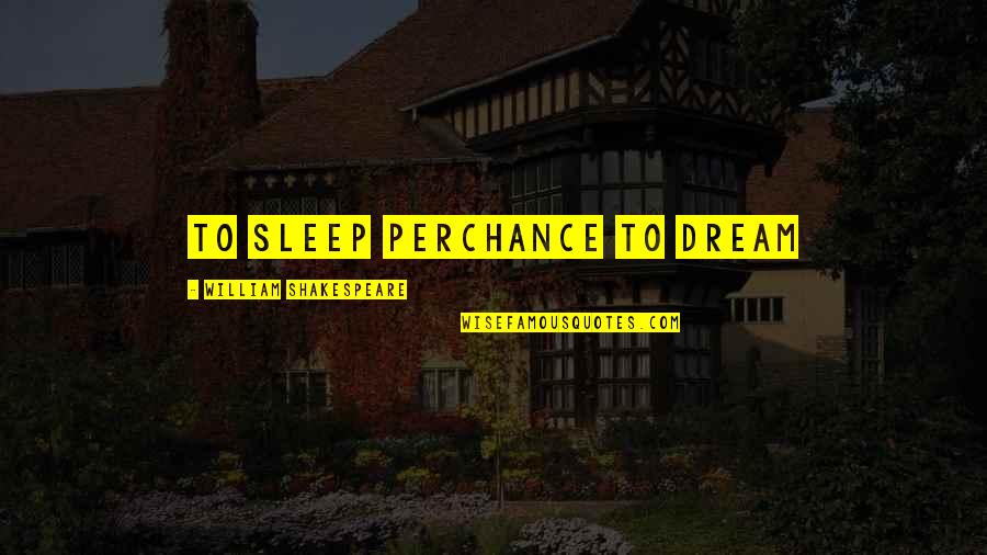Perchance Quotes By William Shakespeare: To sleep perchance to dream