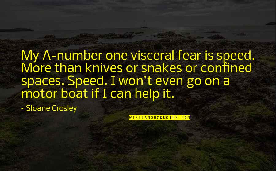 Percibirse Quotes By Sloane Crosley: My A-number one visceral fear is speed. More