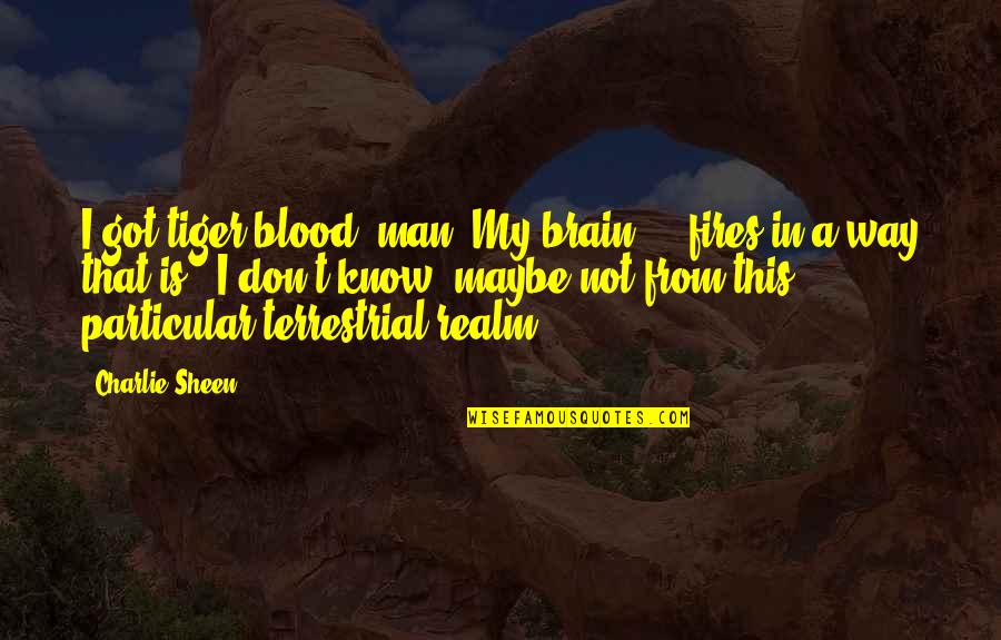 Percinol Quotes By Charlie Sheen: I got tiger blood, man. My brain ... Percinol Quotes By Charlie Sheen: I got tiger blood, man. My brain ...