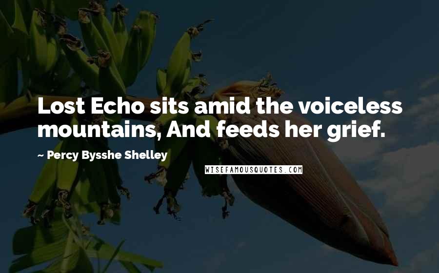 Percy Bysshe Shelley quotes: Lost Echo sits amid the voiceless mountains, And feeds her grief.