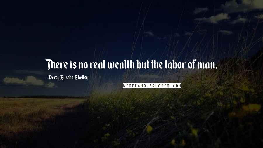 Percy Bysshe Shelley quotes: There is no real wealth but the labor of man.