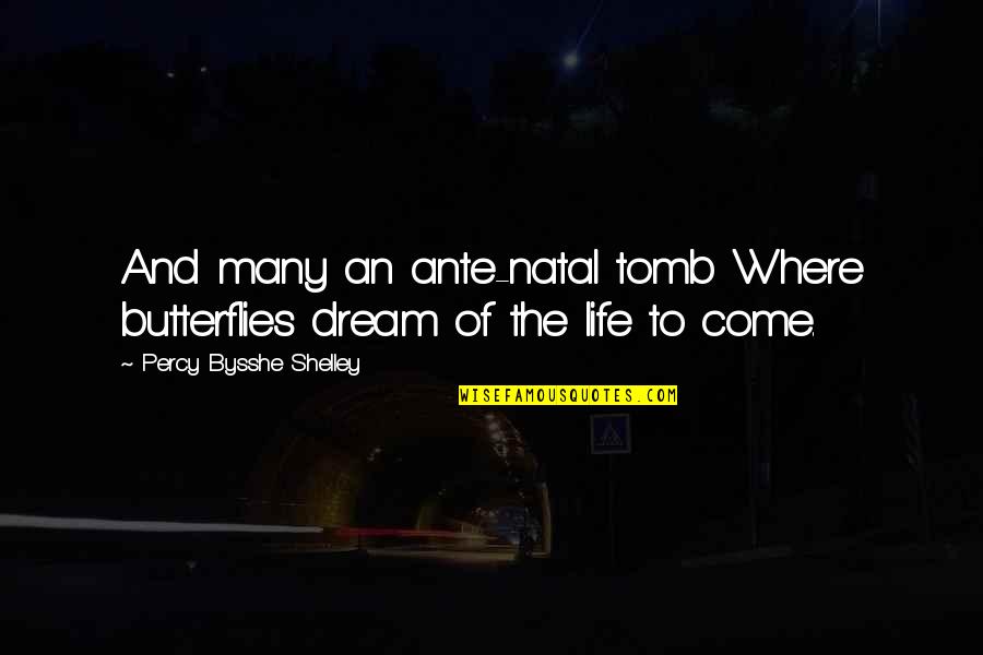 Percy Bysshe Shelley Quotes By Percy Bysshe Shelley: And many an ante-natal tomb Where butterflies dream Percy Bysshe Shelley Quotes By Percy Bysshe Shelley: And many an ante-natal tomb Where butterflies dream