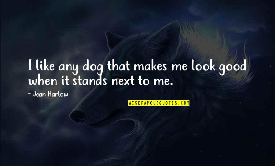 Percy Jackson Demigod Quotes By Jean Harlow: I like any dog that makes me look