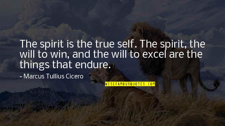 Perdere Peso Quotes By Marcus Tullius Cicero: The spirit is the true self. The spirit,