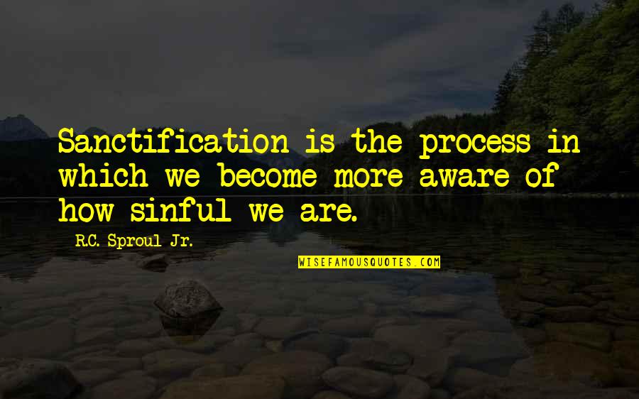 Perdition Define Quotes By R.C. Sproul Jr.: Sanctification is the process in which we become