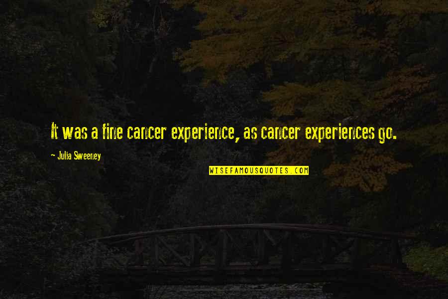 Perdonar Es Quotes By Julia Sweeney: It was a fine cancer experience, as cancer