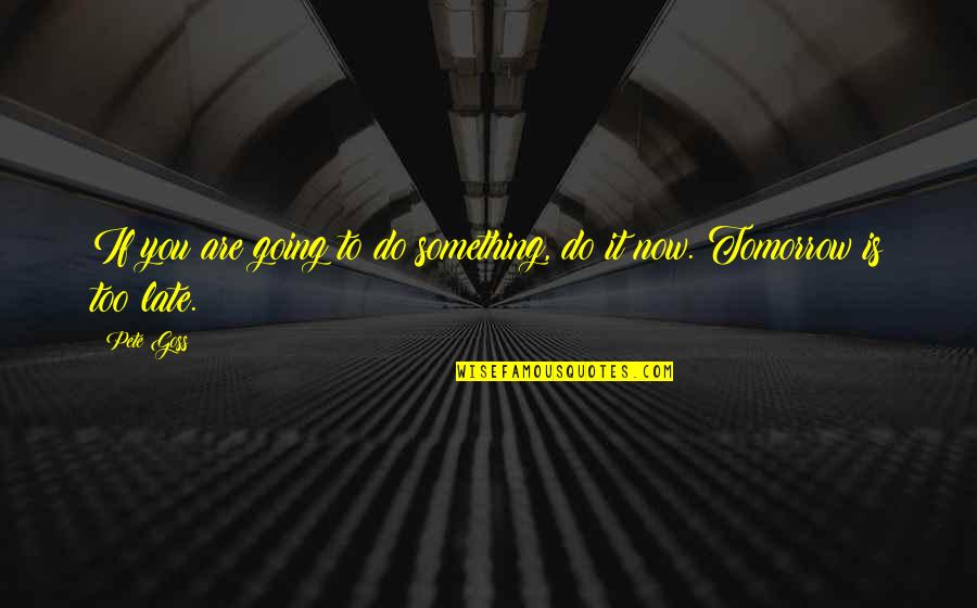 Perdreau De Lann E Quotes By Pete Goss: If you are going to do something, do