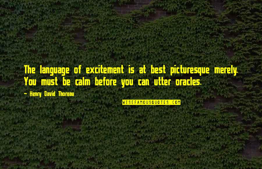 Perecherla Quotes By Henry David Thoreau: The language of excitement is at best picturesque