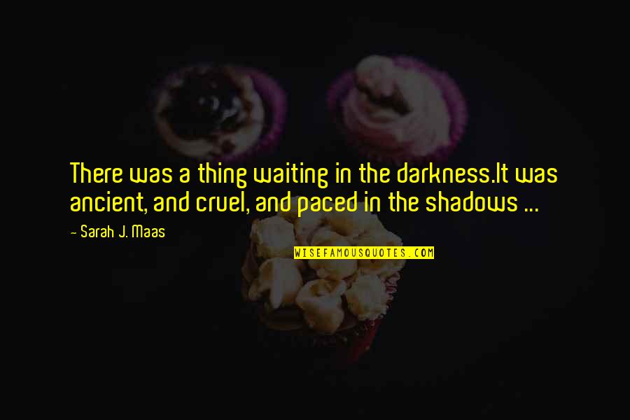 Perempuan Cerdas Quotes By Sarah J. Maas: There was a thing waiting in the darkness.It