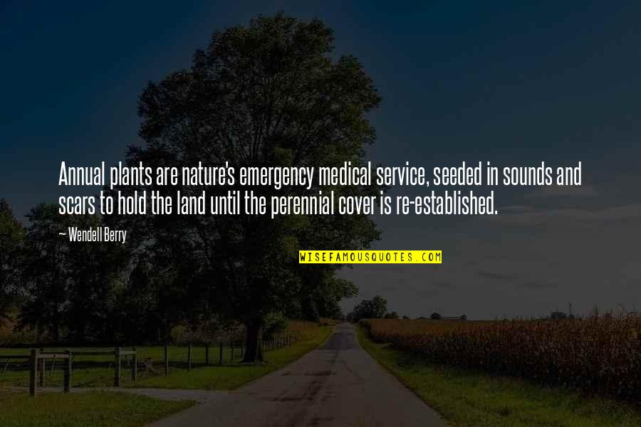 Perennial Quotes By Wendell Berry: Annual plants are nature's emergency medical service, seeded Perennial Quotes By Wendell Berry: Annual plants are nature's emergency medical service, seeded