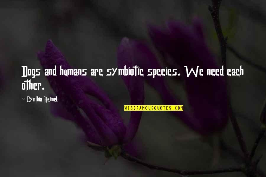 Perennially Quotes By Cynthia Heimel: Dogs and humans are symbiotic species. We need